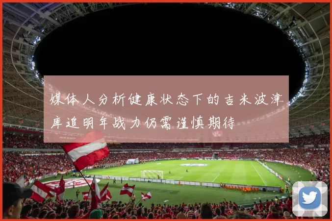 媒体人分析健康状态下的吉米波津库追明年战力仍需谨慎期待
